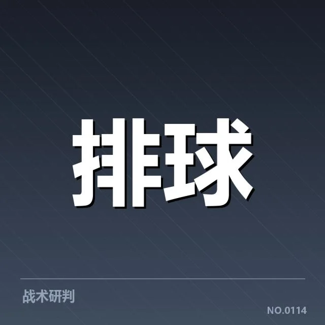 河北男排新人提拔:球队未来竞争力如何提升